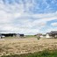 McDonald Heights Subdivision