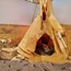 Hide Tipi – Napi’s People