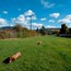 Fenced Off-leash Dog Run