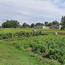 Beiseker Community Garden