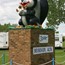 Squirt Beisekers Mascot