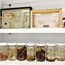 Limnology Lab Collections