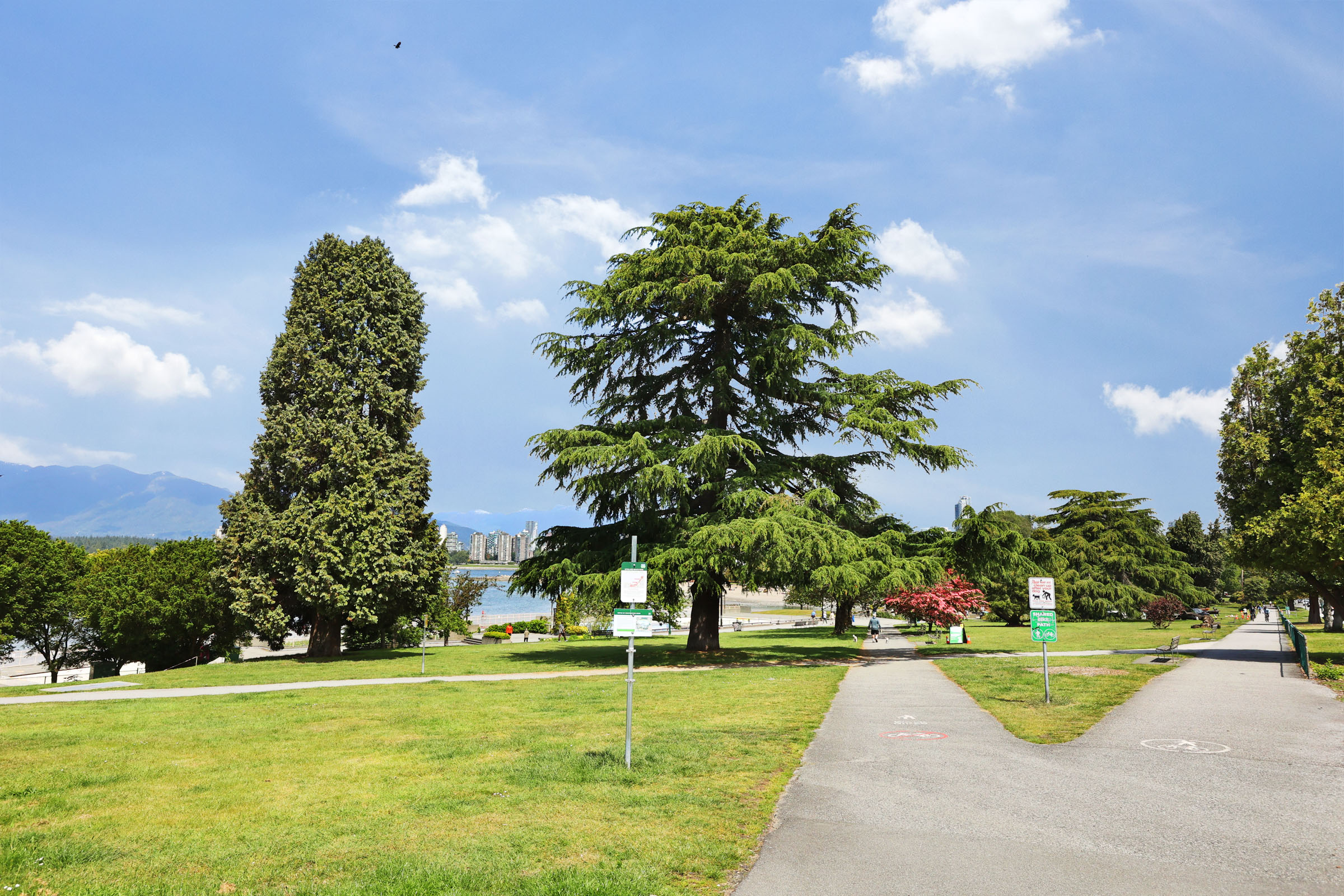 iqiqpk