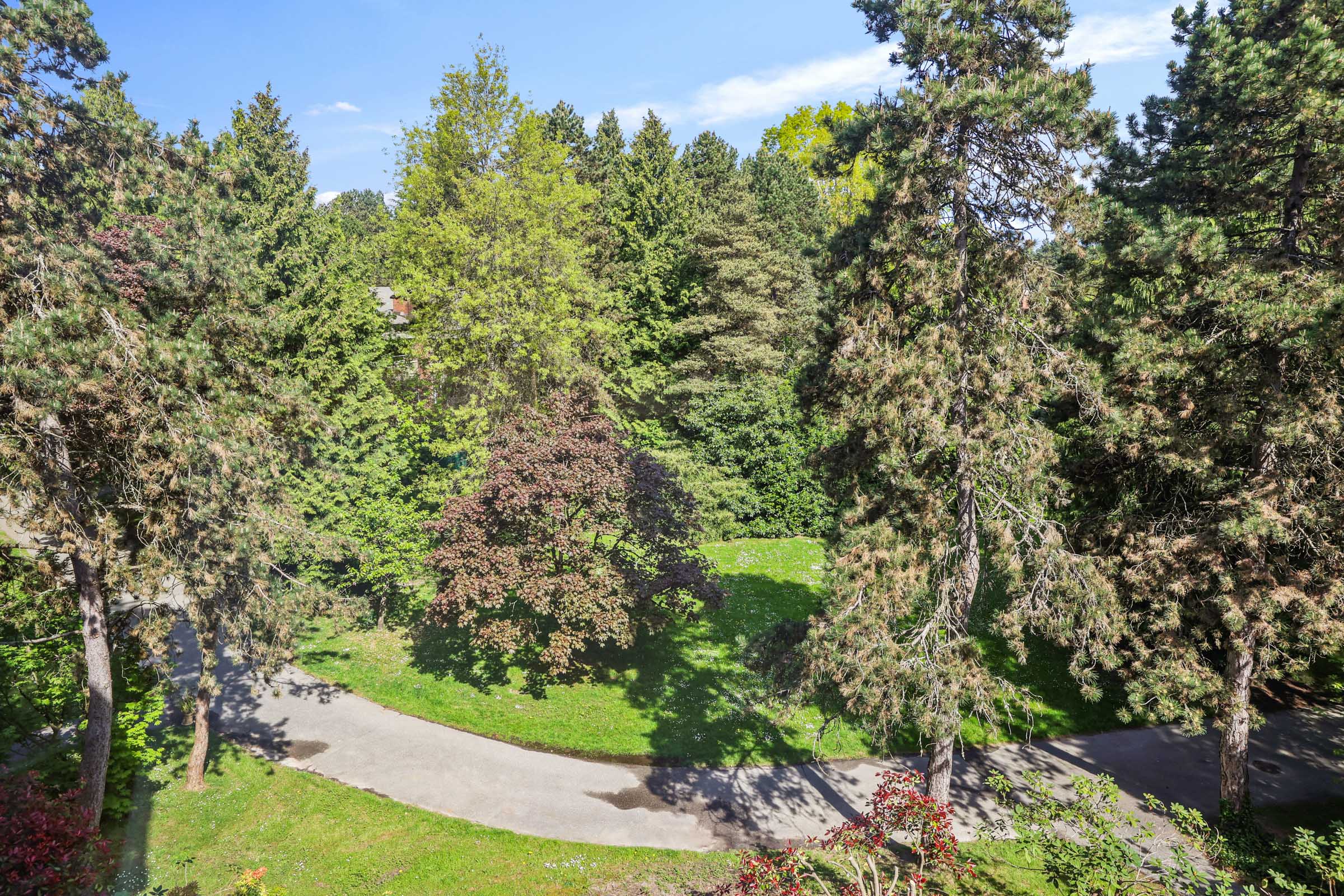 iqiqpk