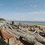 Goose Spit park